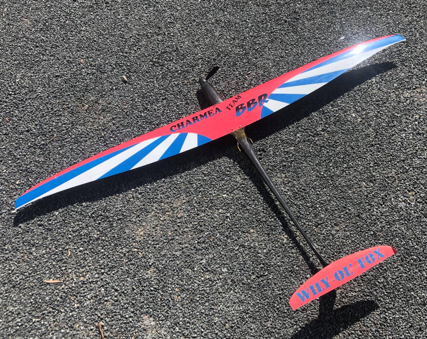 Airplane powered by MGM CONTROLLERS